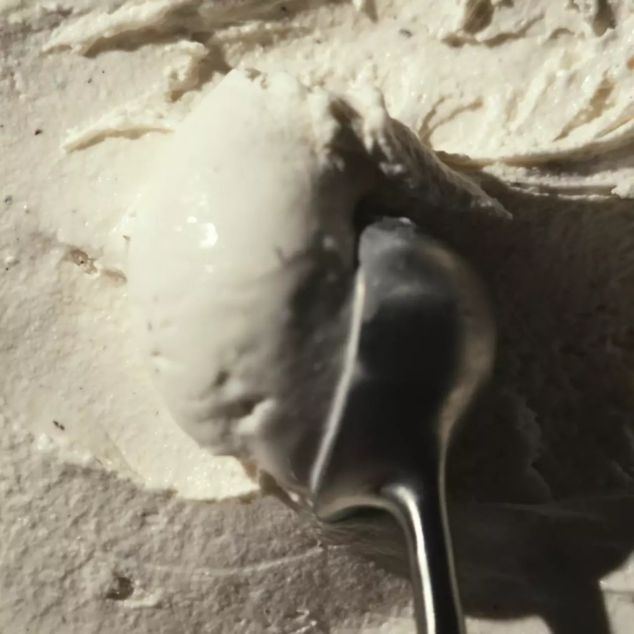 Vanilla Bean - Protein Choice
